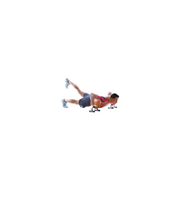 Primary Image Link