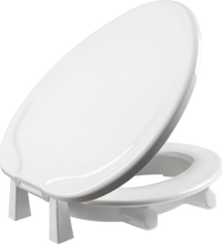 Primary Image Link