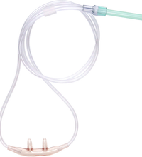 Primary Image Link