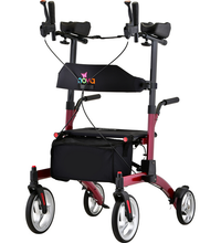 Primary Image Link