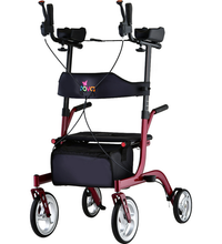 Primary Image Link
