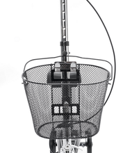 Primary Image Link