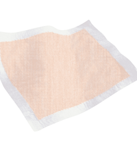 Primary Image Link