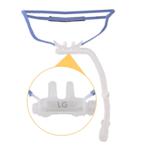 Primary Image Link