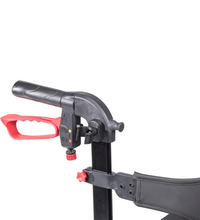 Primary Image Link