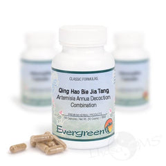 Evergreen Artemisia Annua Decoction - 100 Capsules