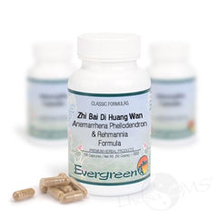 Evergreen Anemarrhena Phellodendron & Rehmannia Formula - 100 Capsules