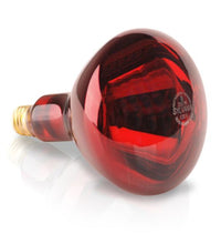 Primary Image Link