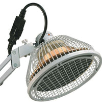 Primary Image Link