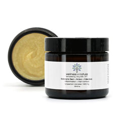 wellness x nature Salve - Inflammation + Pain Formula