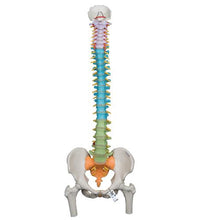 Primary Image Link