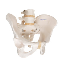 Primary Image Link
