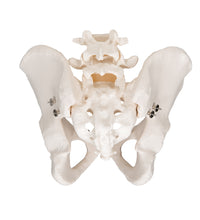 Primary Image Link