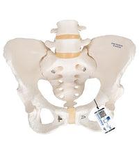 Primary Image Link