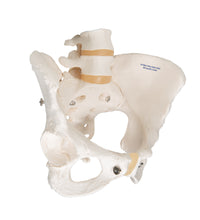 Primary Image Link