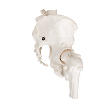 Primary Image Link