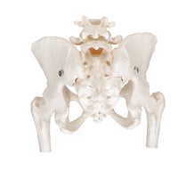 Primary Image Link