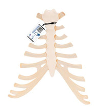 Primary Image Link