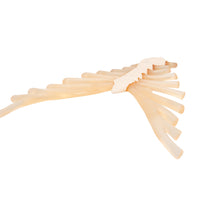Primary Image Link