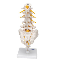 Primary Image Link