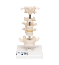 Primary Image Link