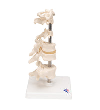 Primary Image Link