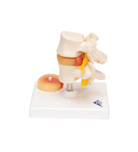 Primary Image Link
