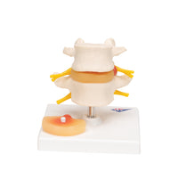 Primary Image Link
