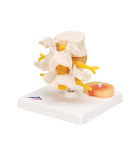 Primary Image Link