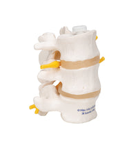 Primary Image Link