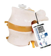 Primary Image Link