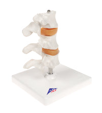Primary Image Link