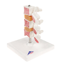 Primary Image Link