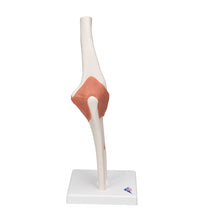 Primary Image Link