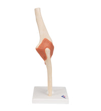 Primary Image Link