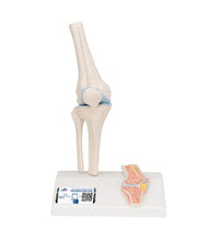 Primary Image Link