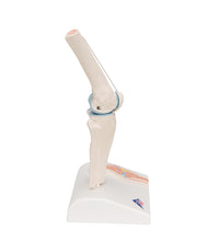 Primary Image Link