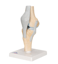 Primary Image Link