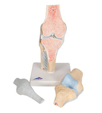 Primary Image Link