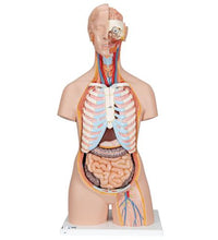 Primary Image Link