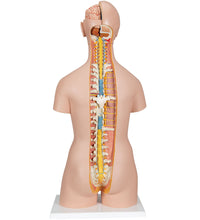 Primary Image Link
