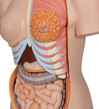 Primary Image Link