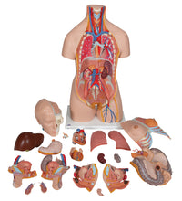 Primary Image Link
