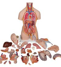 Primary Image Link