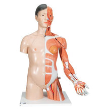 Primary Image Link