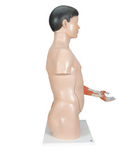 Primary Image Link