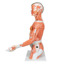 Primary Image Link