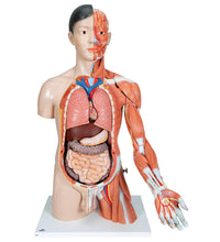 Primary Image Link