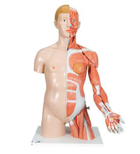 Primary Image Link