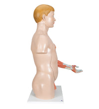 Primary Image Link